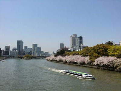 写真：桜シリーズ1