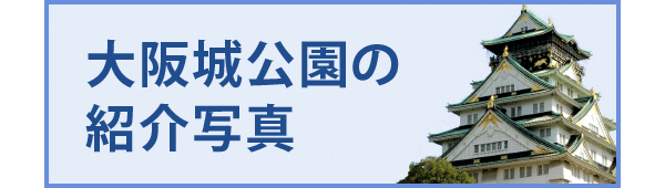 大阪城公園の紹介写真